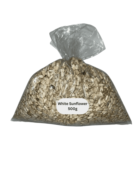 White Sunflower 500g