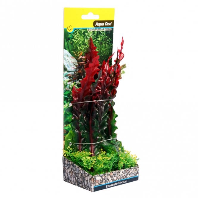 Aqua One Ecoscape Red Ruffled Lace Plant 20cm