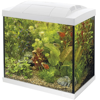 Superfish Start 50L Tropical Aquarium - White